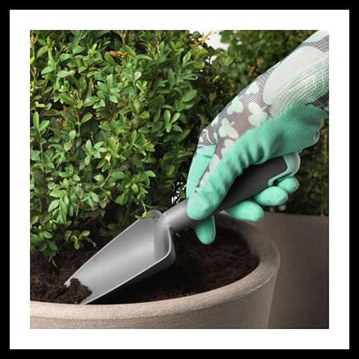 a person in a garden watering a plant