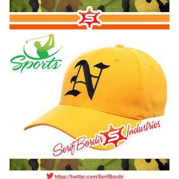 baseball cap with a bird in the center