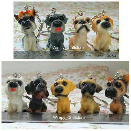 a group of dogs that are sitting on a table.