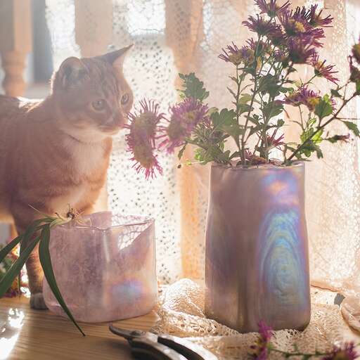a cat sitting next to a vase with flowers in it.