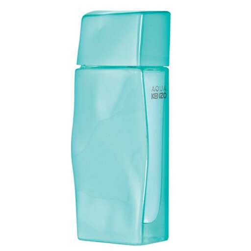 this is a bag that is perfect for the beach or ocean.