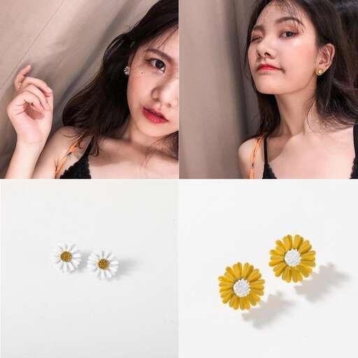 daisies in yellow and white