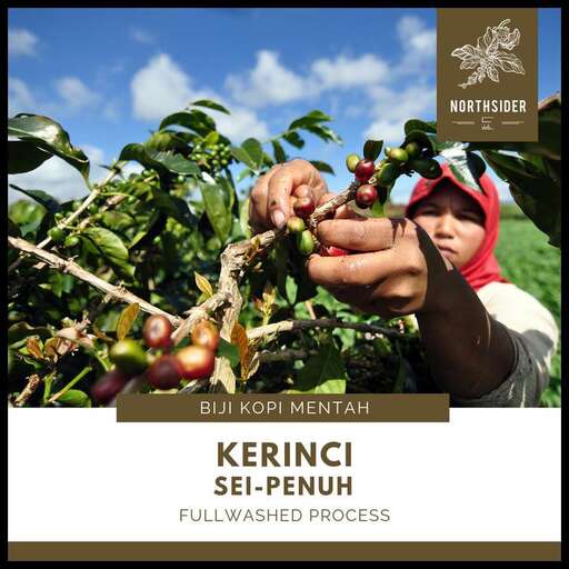 a young boy picking cherries from a tree.