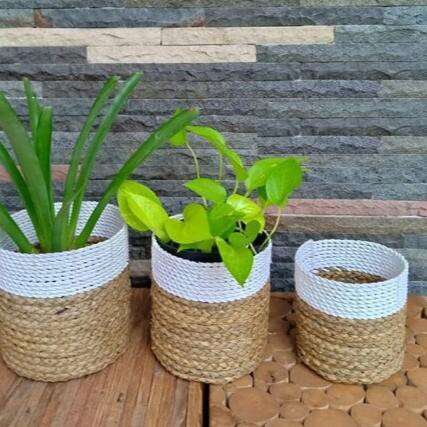 plant pots in the garden
