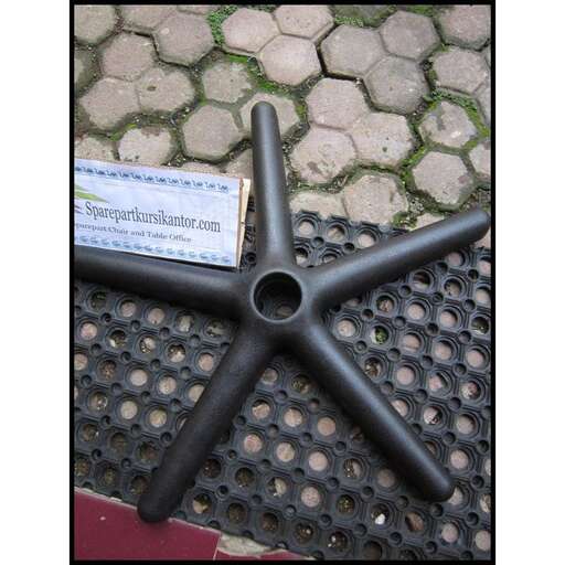 a starfish on the ground in front of a sign that says & amp ; quot ; no, & amp ; quot ;.