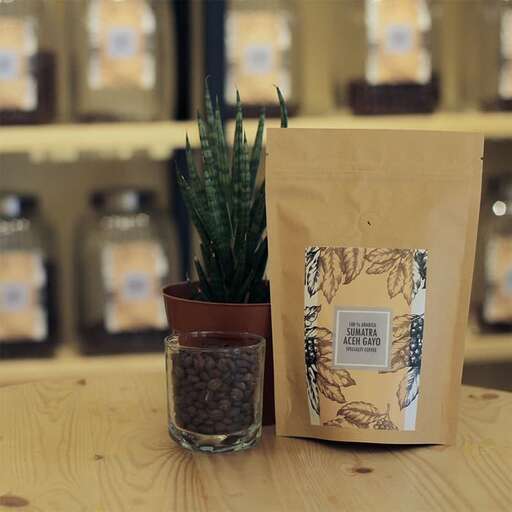 a plant in a bag on a table