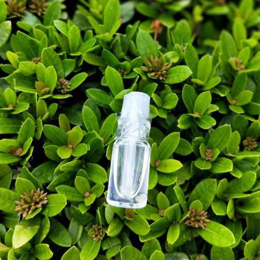 a bottle in the grass