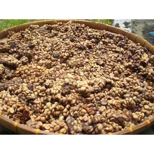 nuts in a wooden bowl