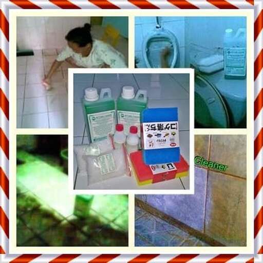 a collage of photos with a woman cleaning products.