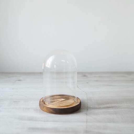 a glass dome with a coin on top of it.