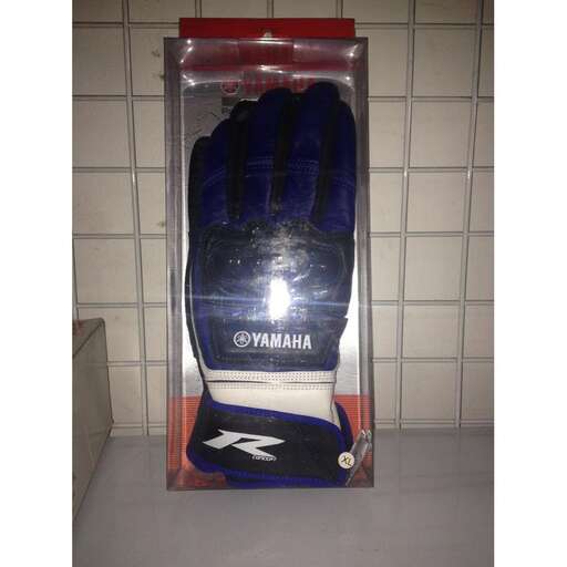 a blue and white glove in a plastic box.