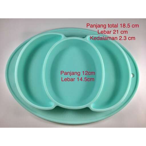 a plate with a large amount of water