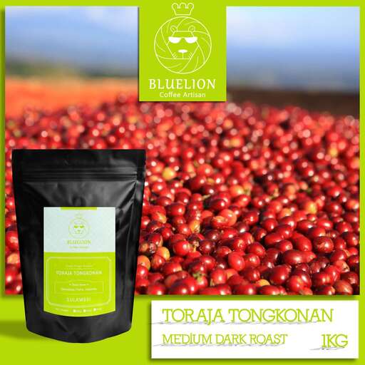 the best products for the skin