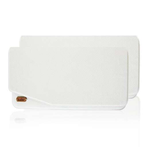 the bag is a handmade leather case with a woven handle.