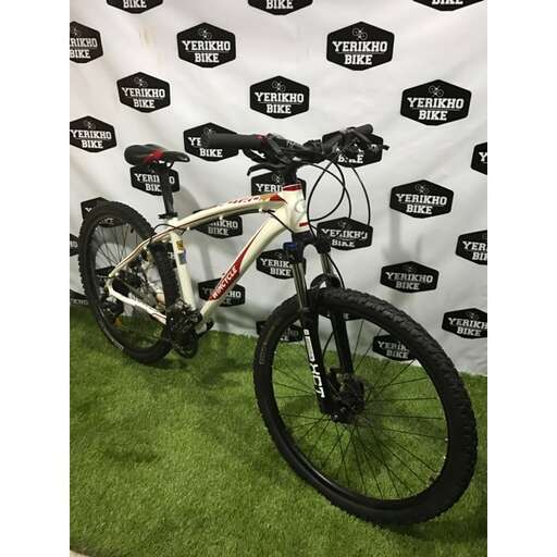 custom made bicycle for a friend