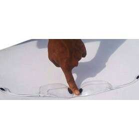 a dog walking on a white surface with a shadow.