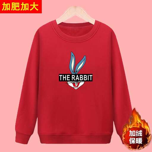 the rabbit with the feather on the sweater