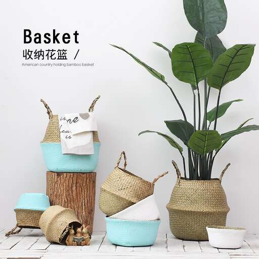 a basket with a plant in it and a cat in it.