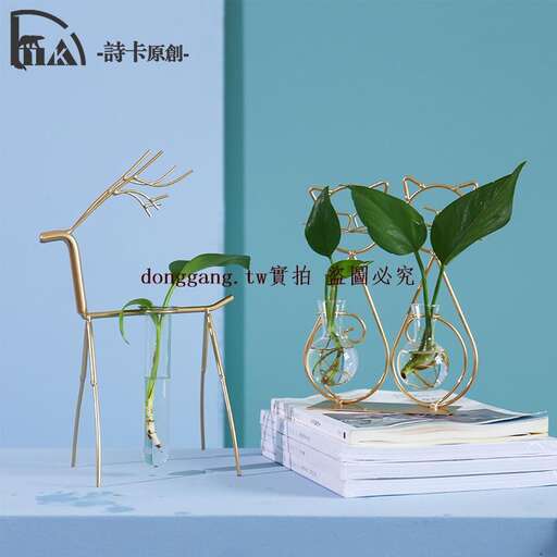 a green plant on a white table