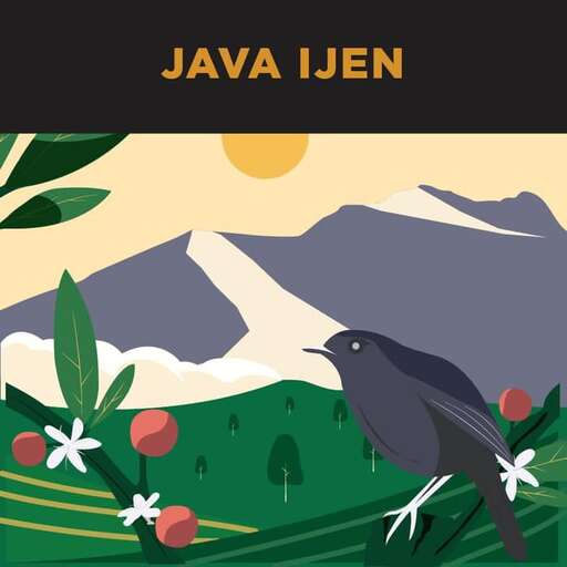 a poster for a book.