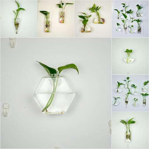 a plant pot hanging on a wall