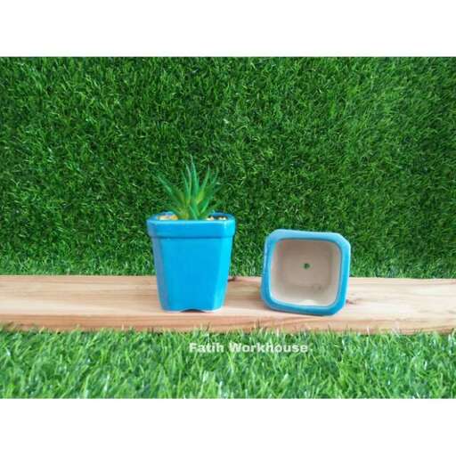 a small plant in a blue pot