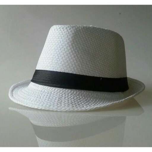 a hat with a black band