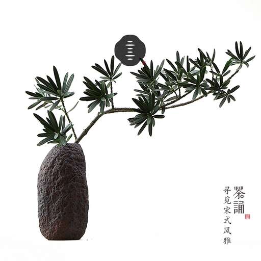 a plant with a black flower in the middle of it.